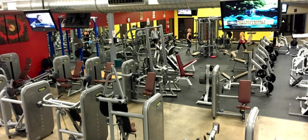 Our Gyms