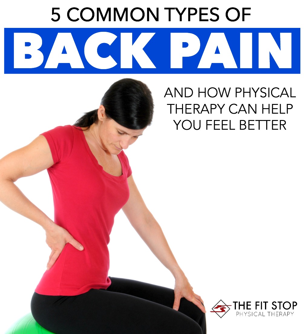5 common types of back pain | fit stop physical therapy