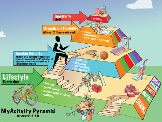 levels of physical activity