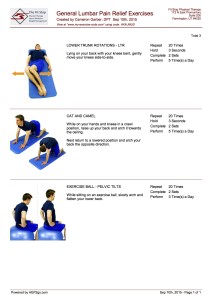 General Lumbar Exercises