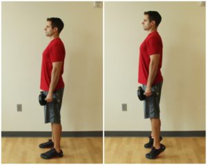 heel raise exercise dumbbell